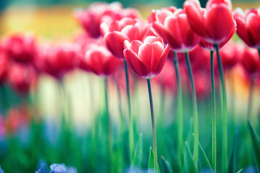 770796 (a): :2400x1600